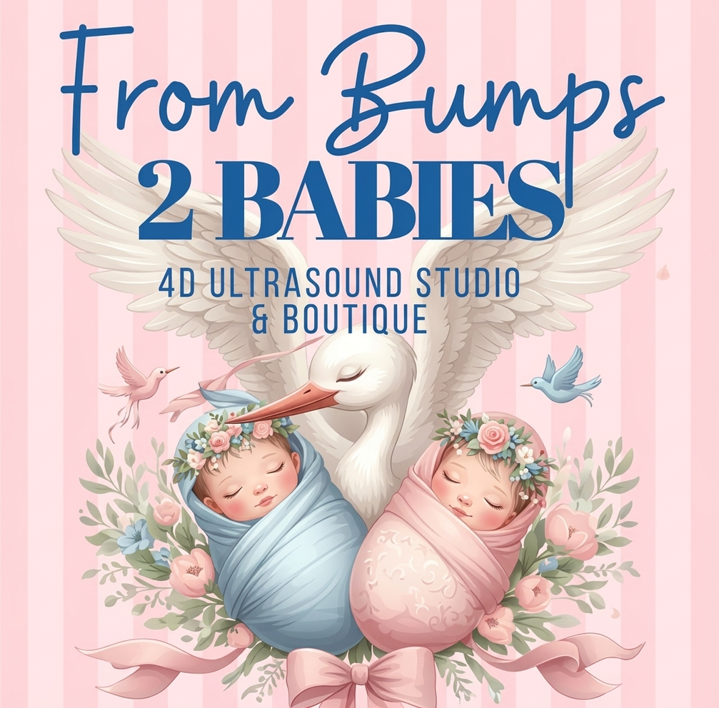 From Bumps 2 Babies logo